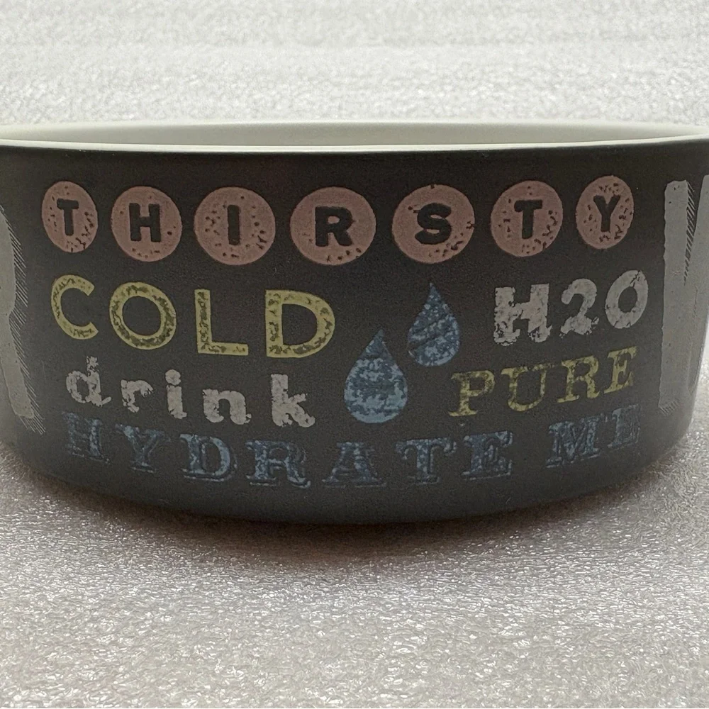 Gray Ceramic Water Bowl